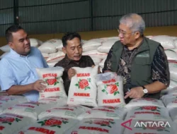 Direktur Bulog Tinjau Kesiapan Panen di Jawa Tengah Guna Menjamin Ketersediaan Stok Beras