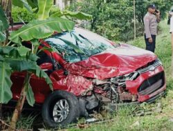 Diduga Mengantuk, Mobil Masuk Parit Usai Tabrak Pohon di Ngawi