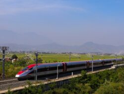 Menlu China dan Jokowi Bahas Soal Investasi Transportasi di IKN