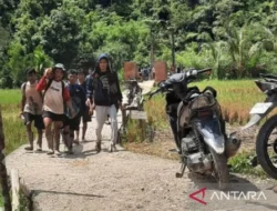 15 Pekerja Tambang Tewas Usai Tertimbun Longsor Area Pertambangan di Solok, Sumbar