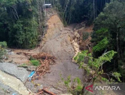 19 Warga Hilang Akibat Banjir Bandang dan Longsor di Pegunungan Arfak, Basarnas Manokwari Lakukan Pencarian