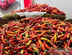 Bapanas Catat Penurunan Harga Sejumlah Komoditas Pangan, Termasuk Bawang Merah dan Minyak Goreng