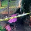Bocah 5 Tahun Tewas Tersengat Listrik di Taman Radio Dalam, Polisi Dalami Kasusnya