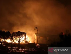 California Hadapi Kebakaran Hutan Terbesar Tahun Ini, Kebakaran Madre Meluas ke 70.800 Hektare